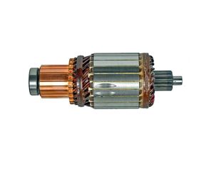 Induit 24V 29MT D-0156