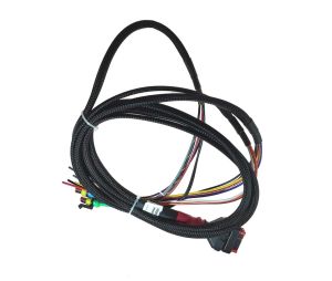 Faisceau de câbles positif standard WSPH pour alternateurs de type P P-type harness